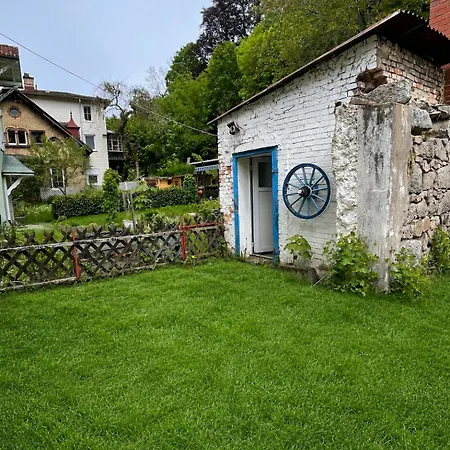 Апартаменты Zentral In Triberg, Mit Terrasse Und Garten Nur 10 Minuten Vom Wasserfall, Hunde Willkommen *