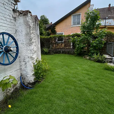 Zentral In Triberg, Mit Terrasse Und Garten Nur 10 Minuten Vom Wasserfall, Hunde Willkommen * Триберг